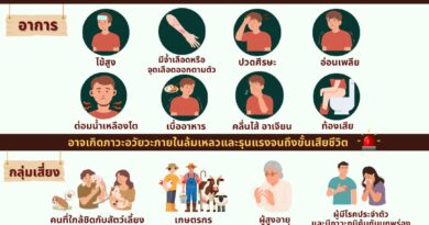 ข่าวจริง “โดนเห็บกัด เสี่ยงทำให้สมองอักเสบ”